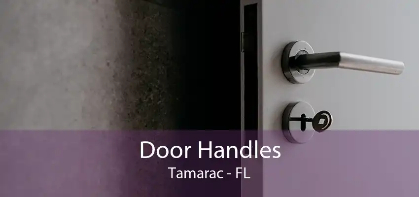 Door Handles Tamarac - FL