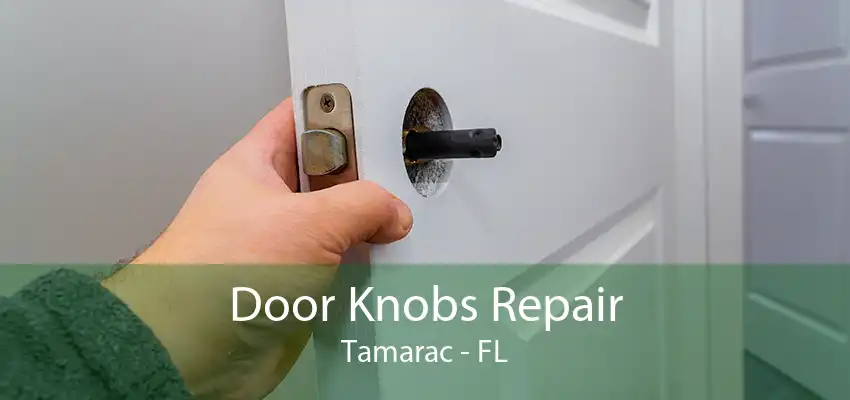 Door Knobs Repair Tamarac - FL